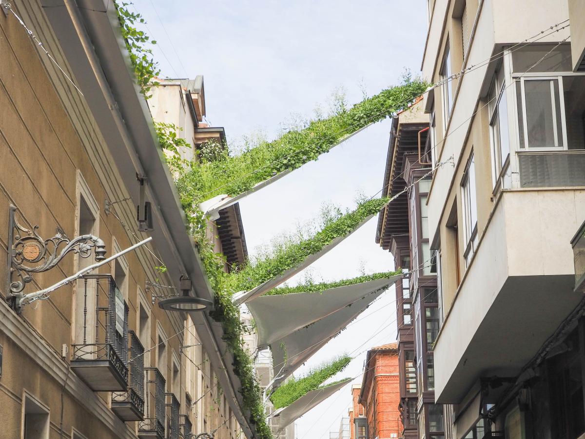 Toldos de la calle Santa María de Valladolid. Proyecto URBAN GreenUP