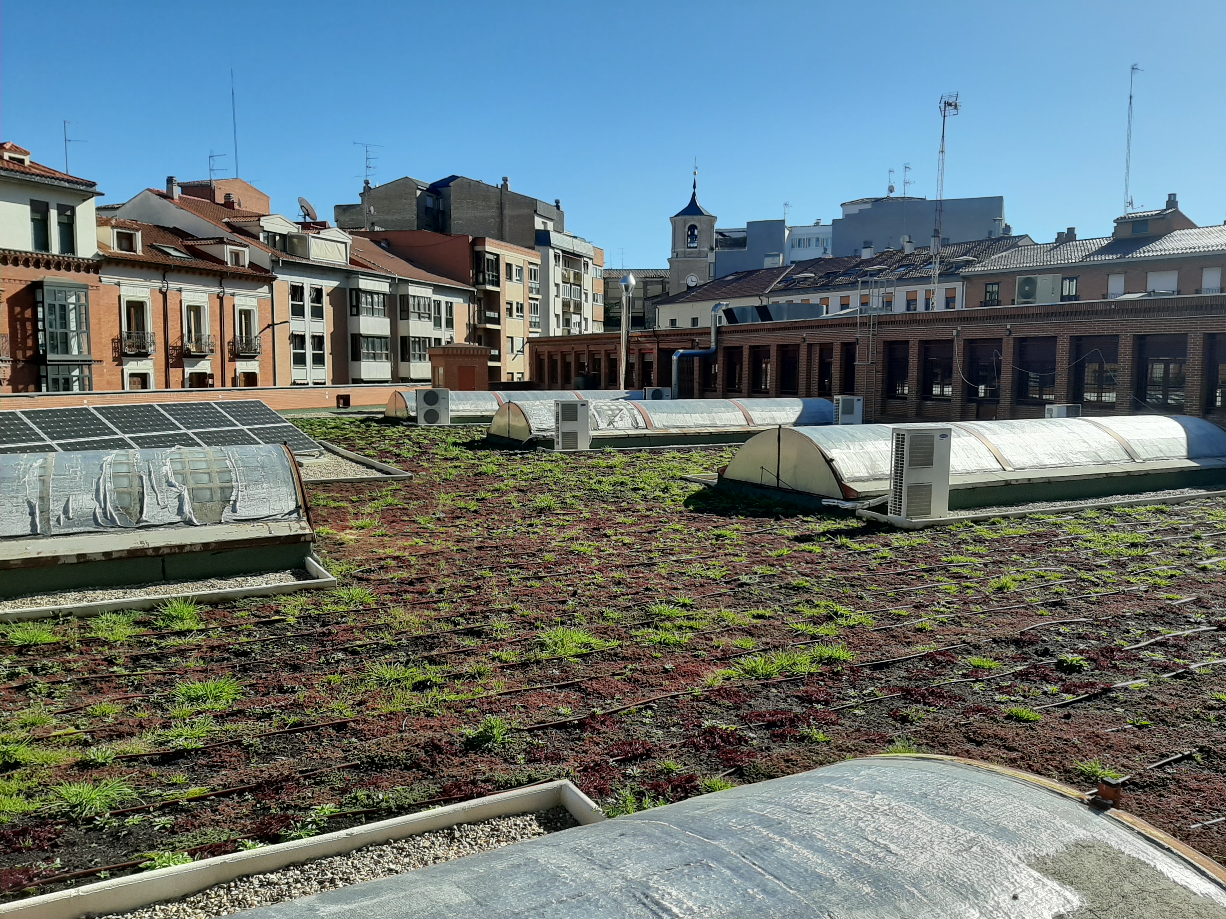 Roof El campillo