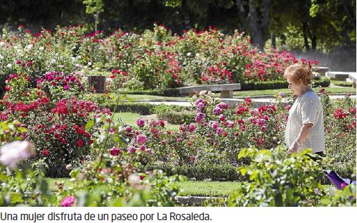 Rosaleda de Valladolid